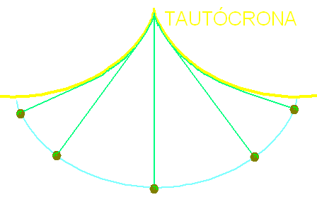 tautocrona